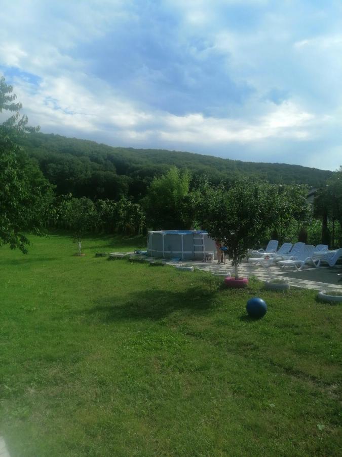Casa Amaya Bacău Eksteriør bilde